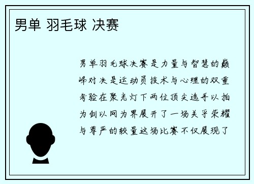 男单 羽毛球 决赛